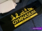 ultimate-strength-and-fitness-nelson USF - interior signage - ArtbyHerbie.com